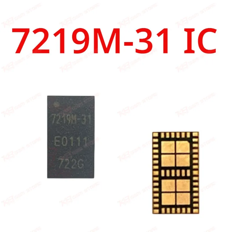7219M-31 IC